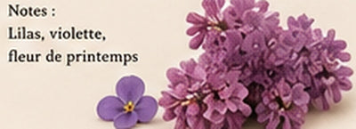 Notes du parfum Lilas Bleu : lilas, violette, feuille verte